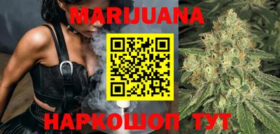 амф Новодвинск